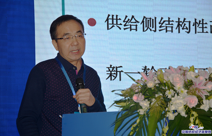 国家信息中心经济预测部副主任王远鸿做主题演讲（点击详情）